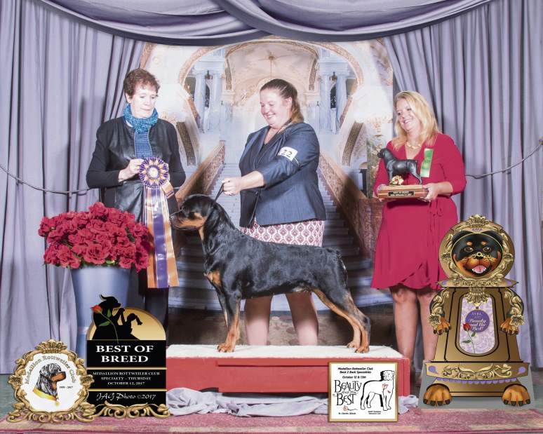 GTRLIVWESTMINSTEREASTWOOD1021018jpeg