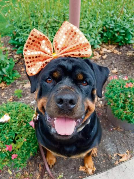 GTRLIVWESTMINSTEREASTWOOD3021018