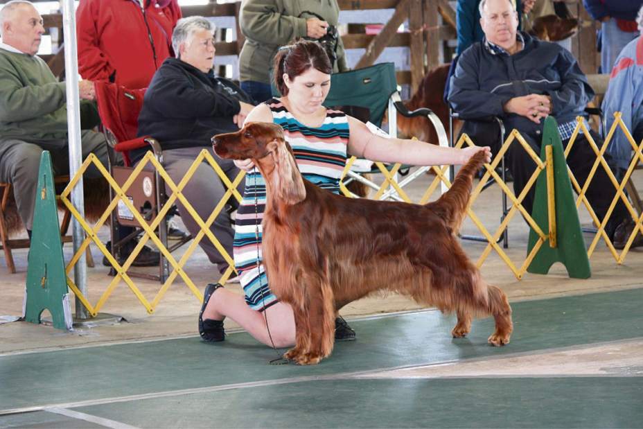 GTRLIVWESTMINSTERHALEYROONEY021018