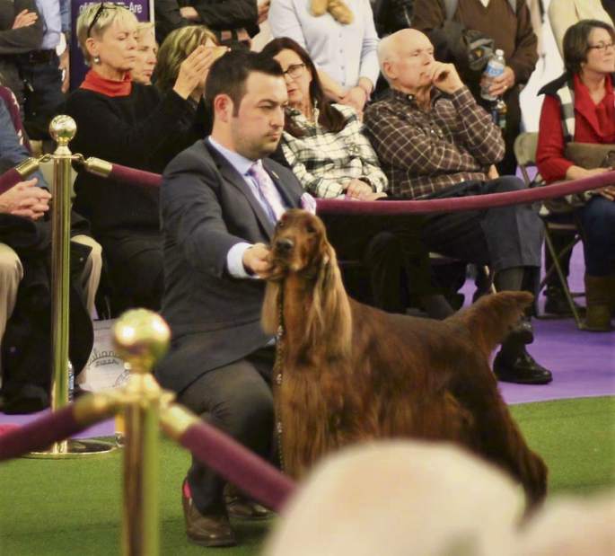 GTRLIVWESTMINSTERKENNEDYBRENDAN021018