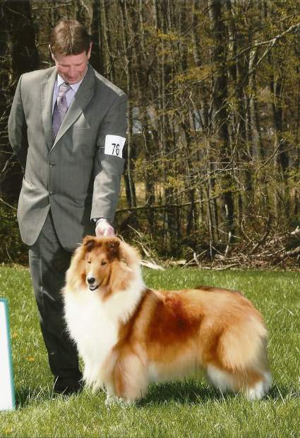 GTRLIVWESTMINSTERLAVENDER021018