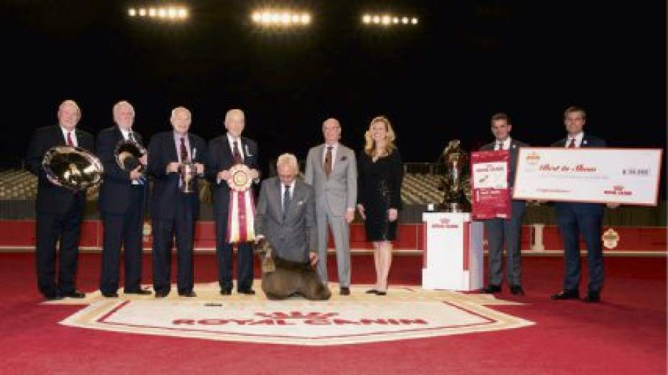 GTRLIVWESTMINSTERSTRIKER021018jpeg