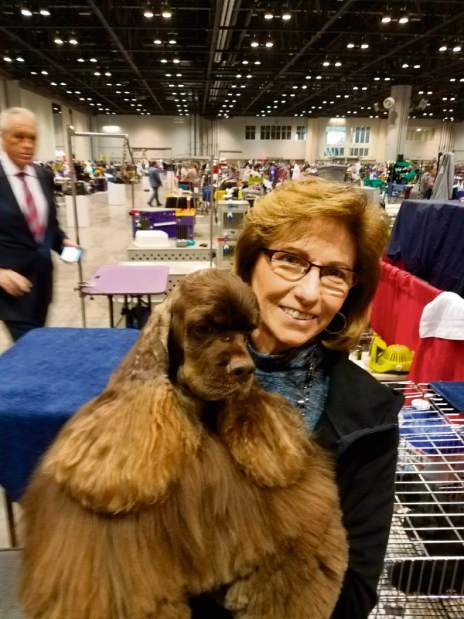 GTRLIVWESTMINSTERSTRIKER1021018jpeg