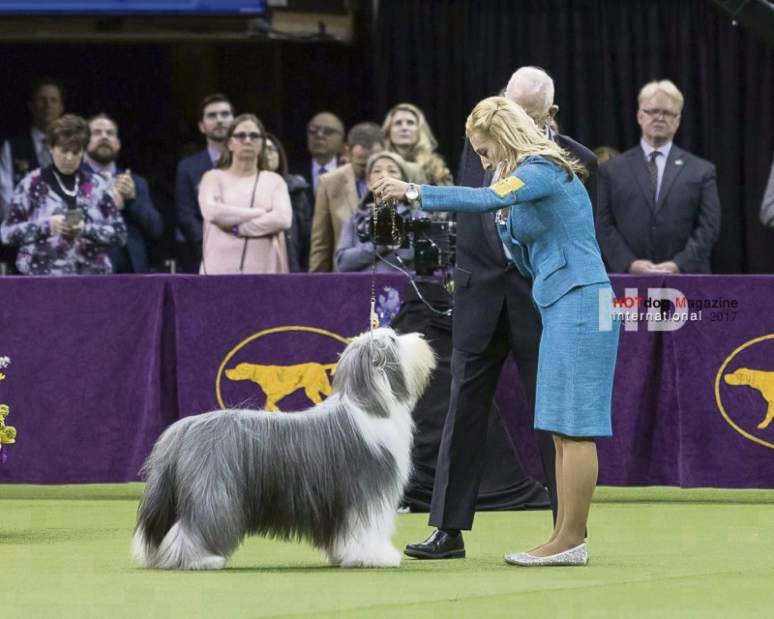 GTRLIVWESTMINSTERZACK021018