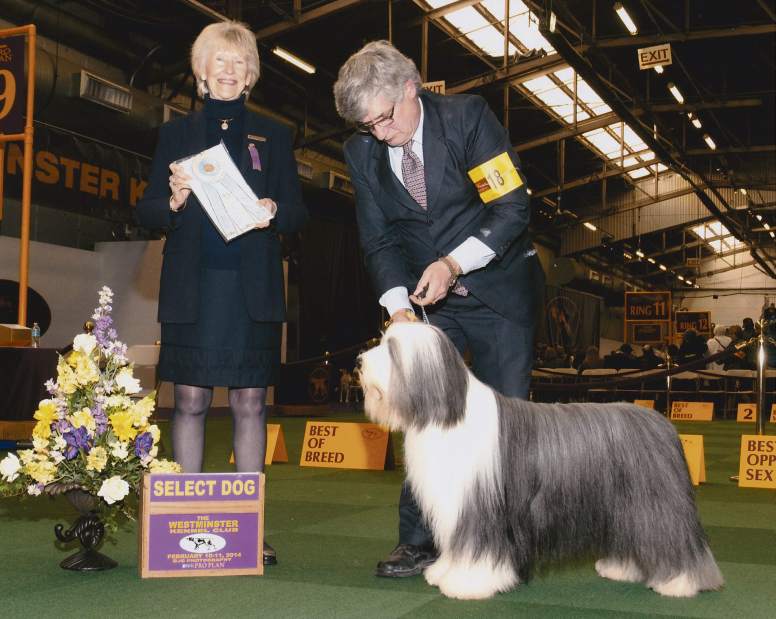 GTRLIVWESTMINSTERZACKNEW021018