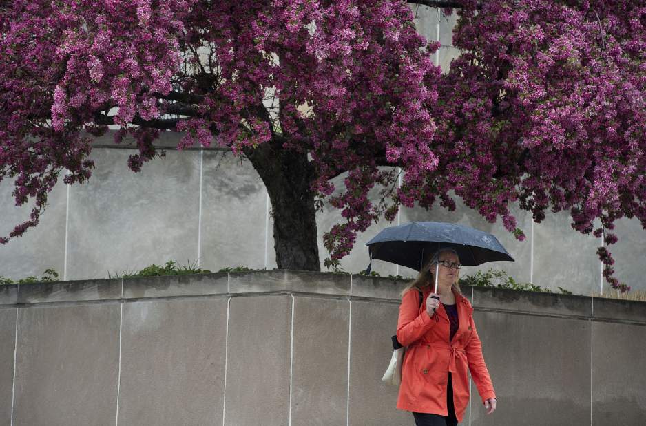 Slide 
													
													5