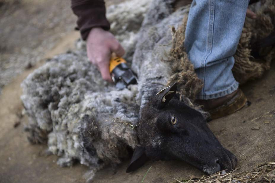 Slide 
													
													2