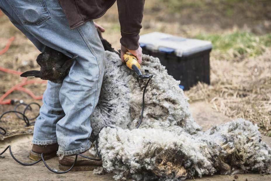 Slide 
													
													3