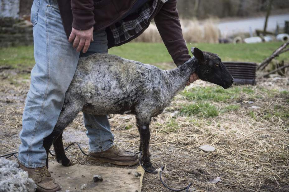 Slide 
													
													4