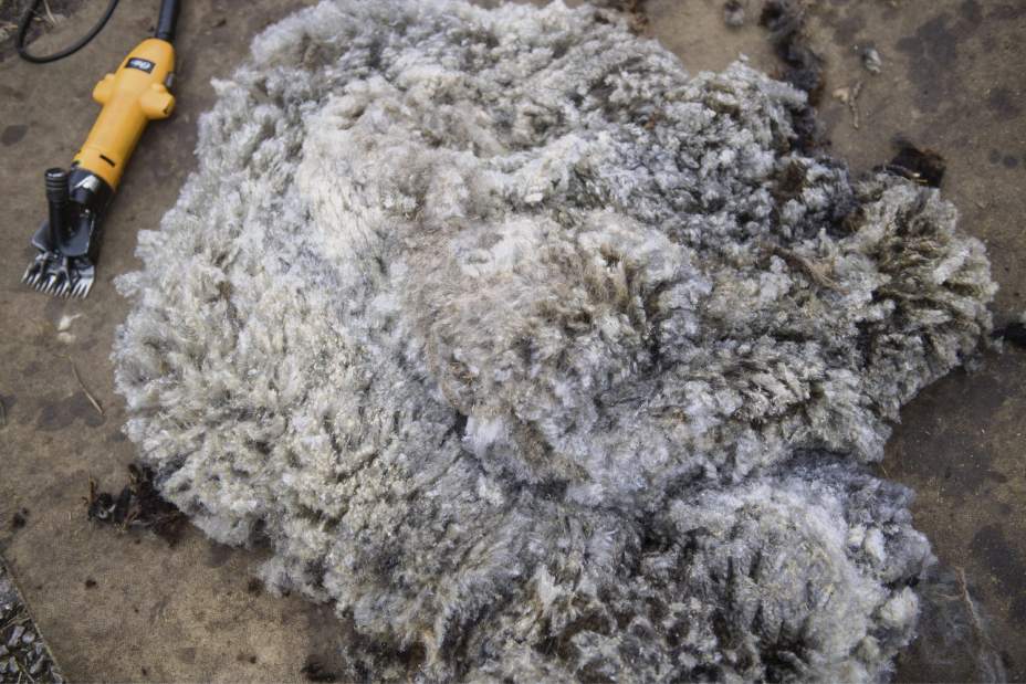 Slide 
													
													5