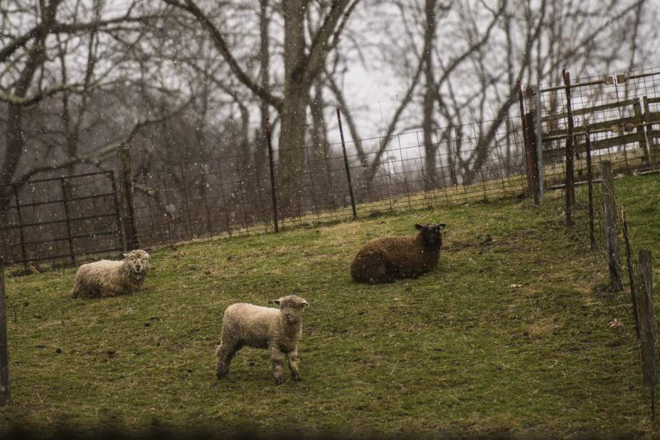 Slide 
													
													6