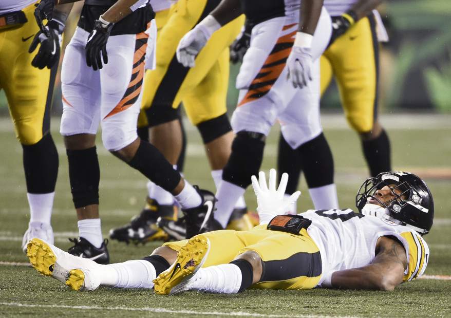 GTRSteelers10120517