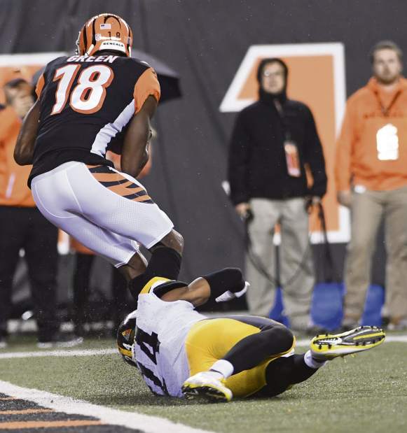 GTRSteelers11120517
