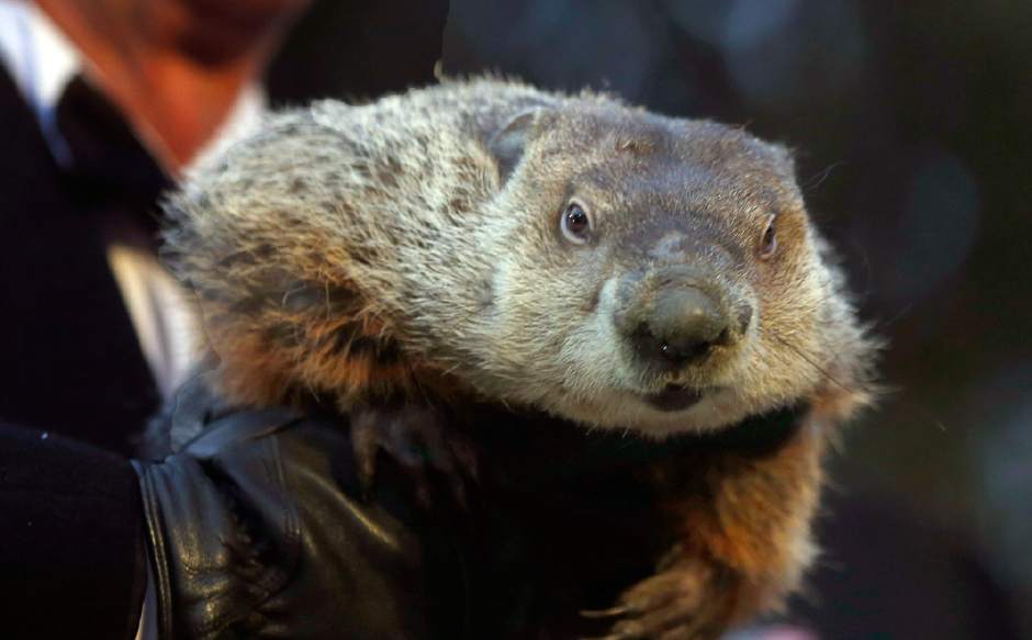 GroundhogDayJPEG08fcf