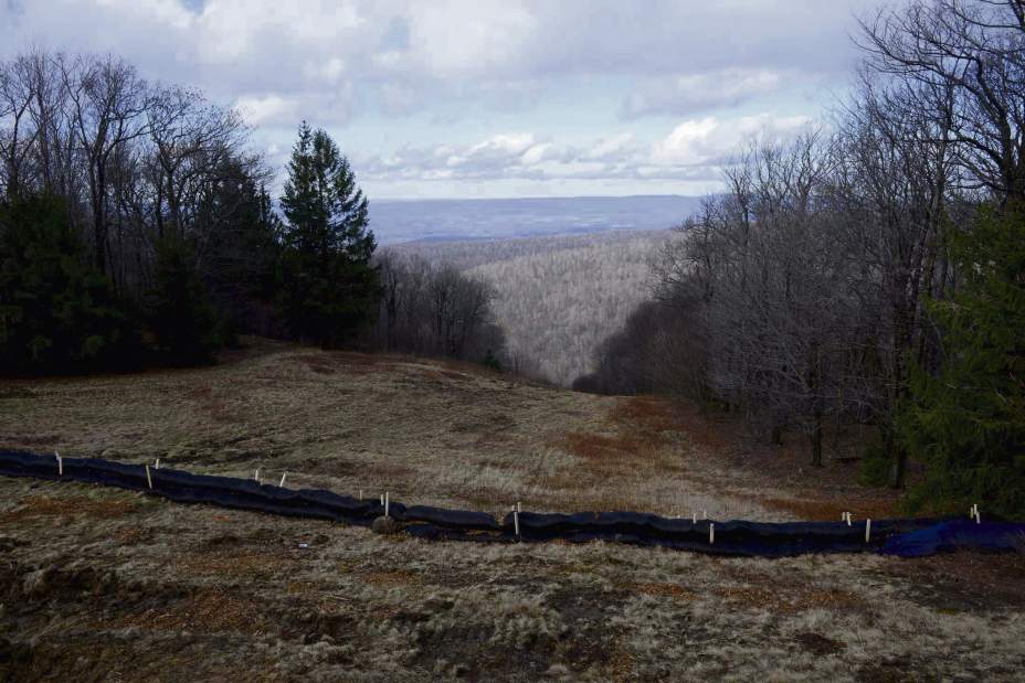 GtrLaurelMtski1122715