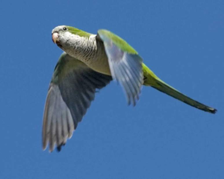 Slide 
													
													2