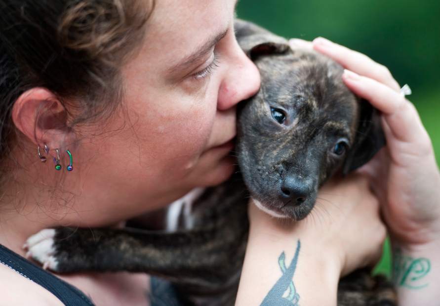 Gtrpetrescue50822141