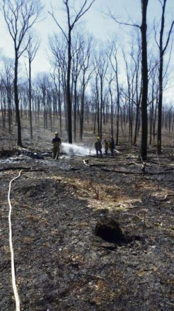 Gtrwildfires1100916