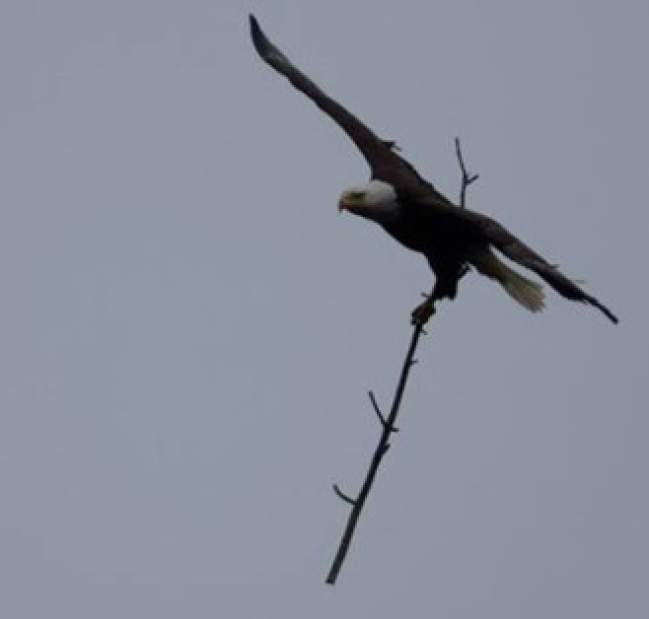 Slide 
													
													2