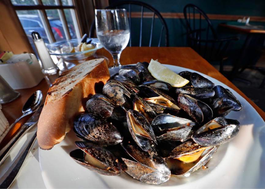 MusselsOutOfMuscle49090jpg5760a