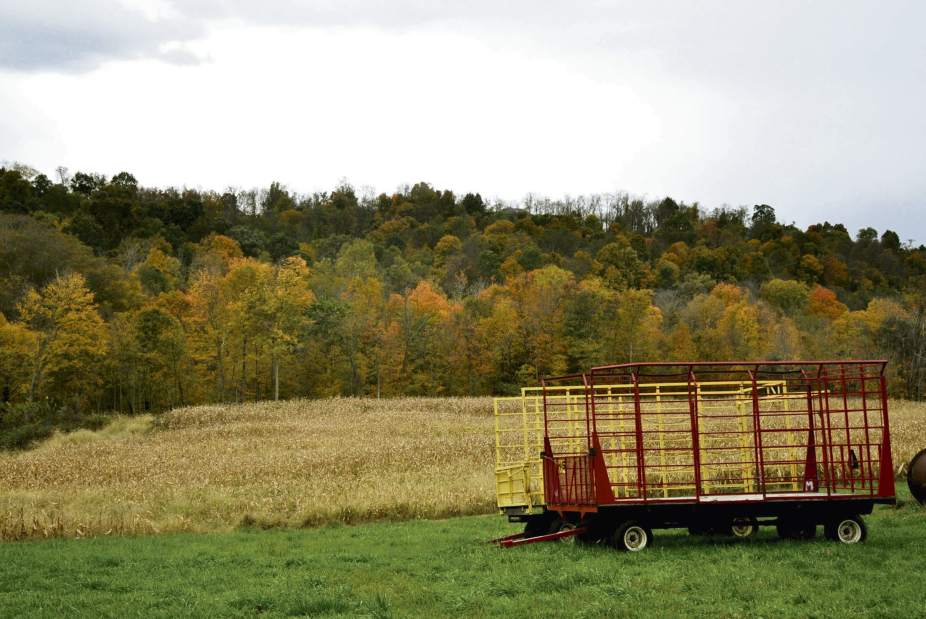 Slide 
													
													1