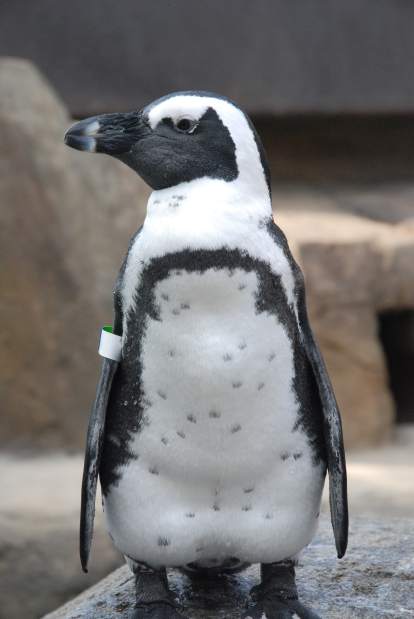 Slide 
													
													3