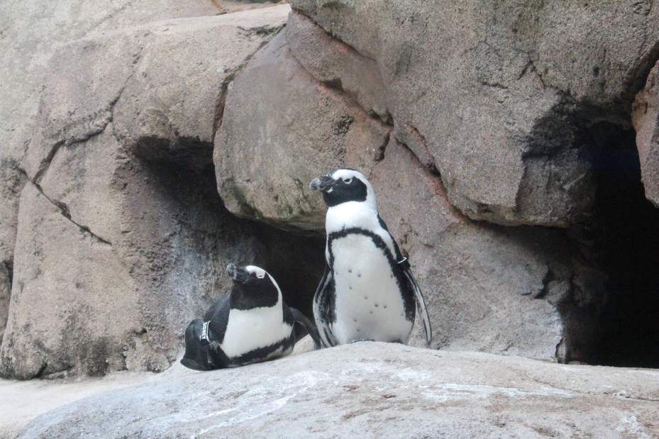 Slide 
													
													2