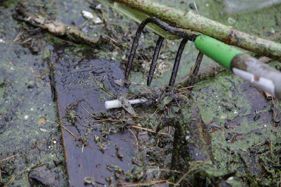 NeedlesEverywhere93790jpg672fe