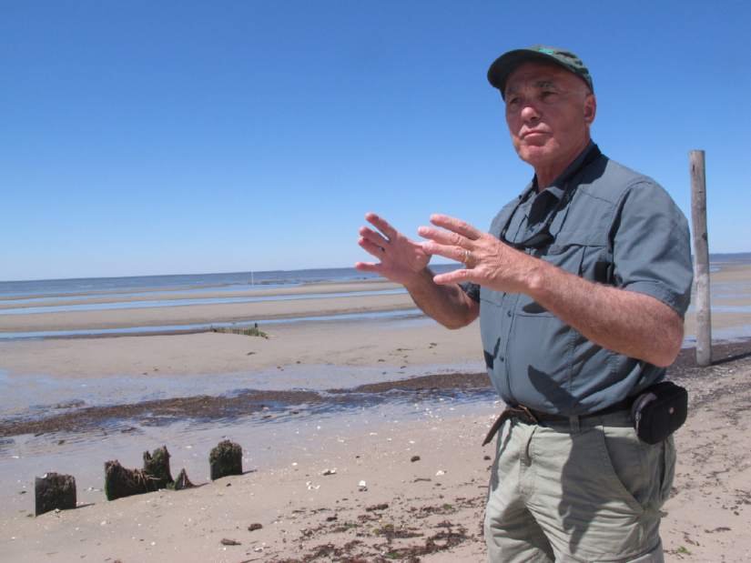 OysterFarmsShorebirdsJPEG0aaad