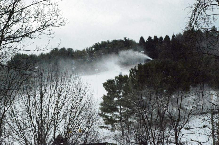 PALTELOfeatures1122415