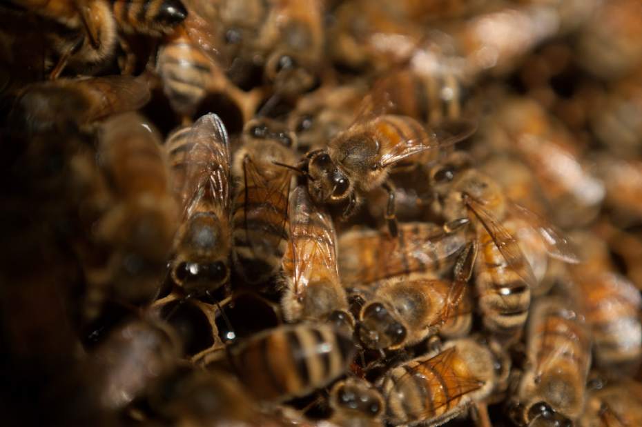 Slide 
													
													2