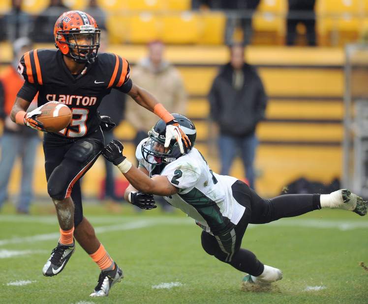 Slide 
													
													15