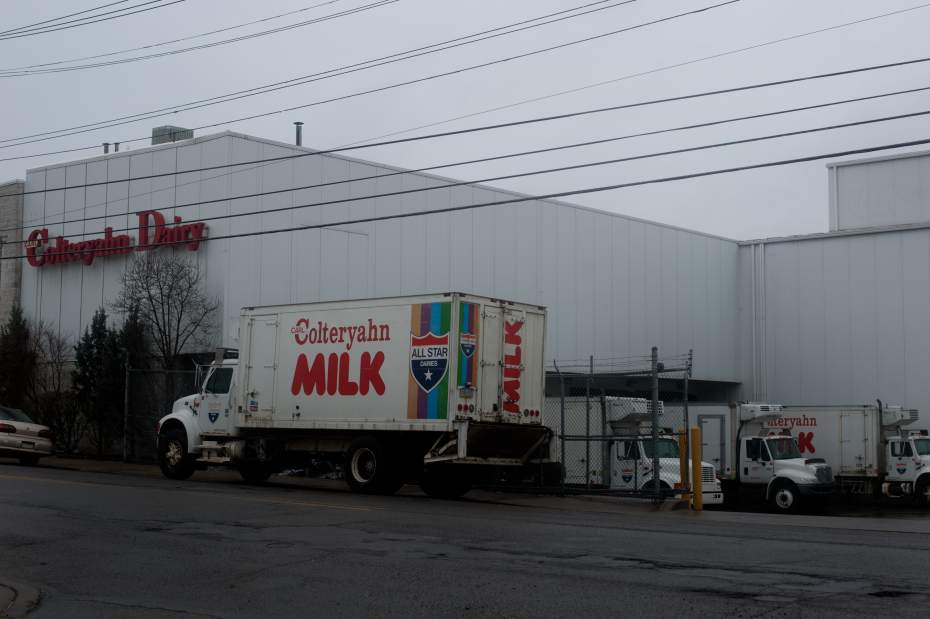 PTRDAIRY3031913
