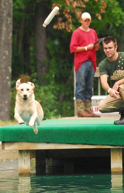 PTRDIVINGDOGS2071912