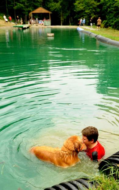 PTRDIVINGDOGS4071912