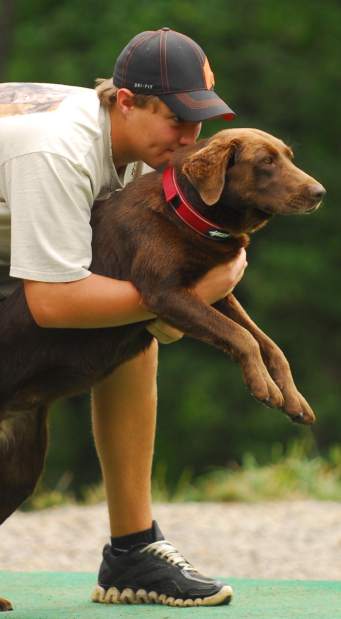 PTRDIVINGDOGS8071912