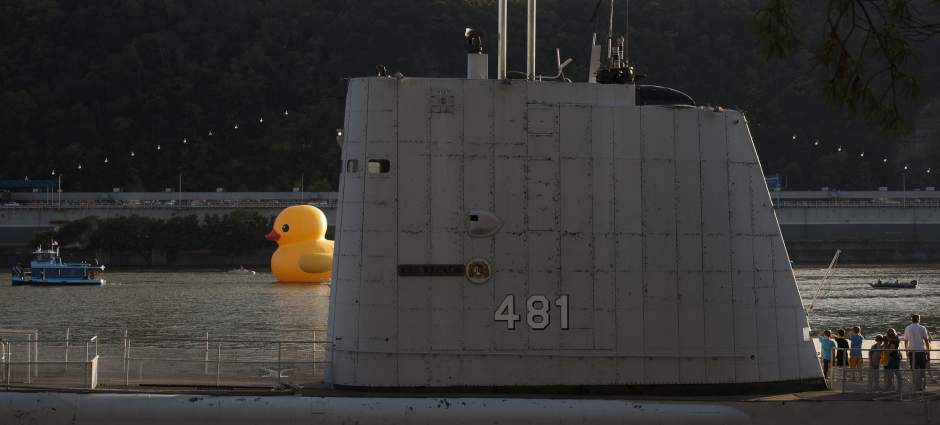 PTRDUCK030928131