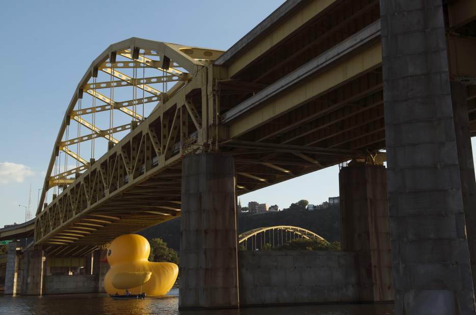 PTRDUCK040928131