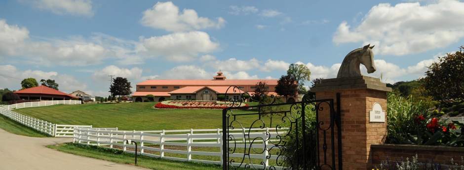 PTRHORSES3092012