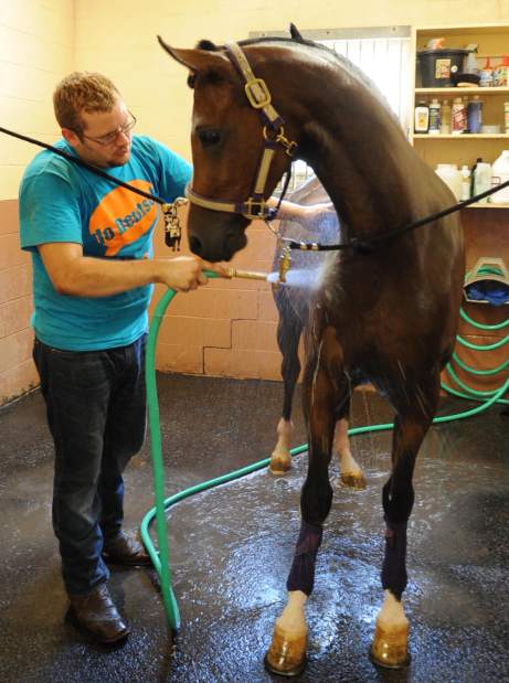 PTRHORSES5092012