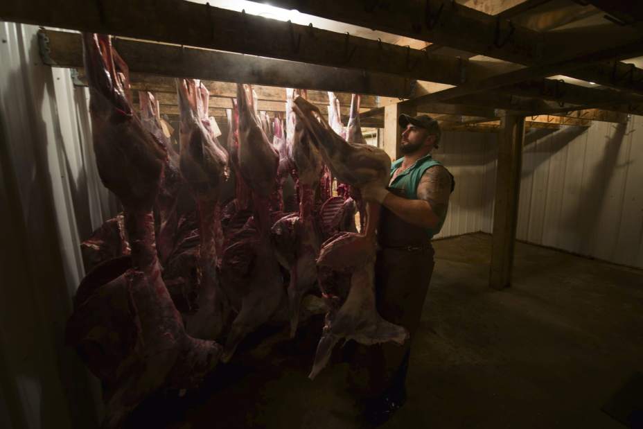 PTRHUNTERSHARVEST12120715