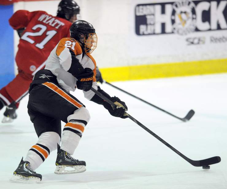 PTRHockeyIns01011314