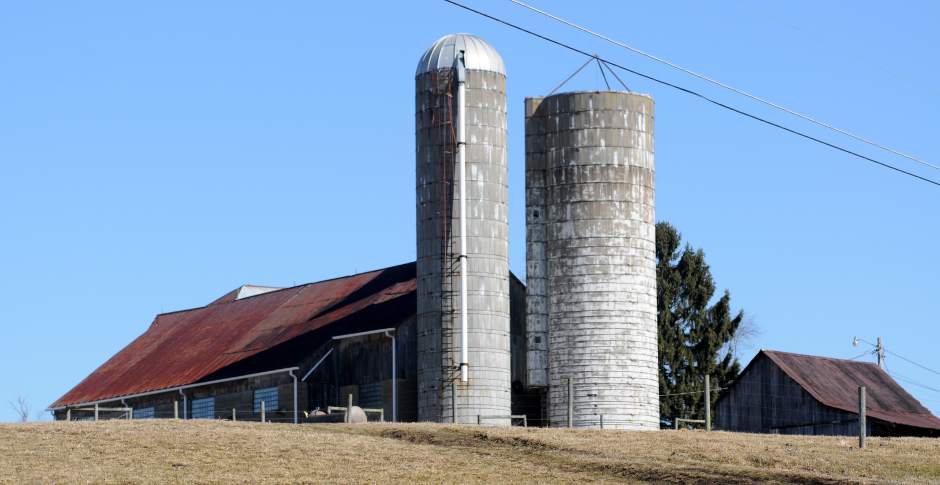 PTRIRDSCANDAL02031215