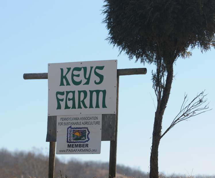 PTRIRDSCANDAL03031215