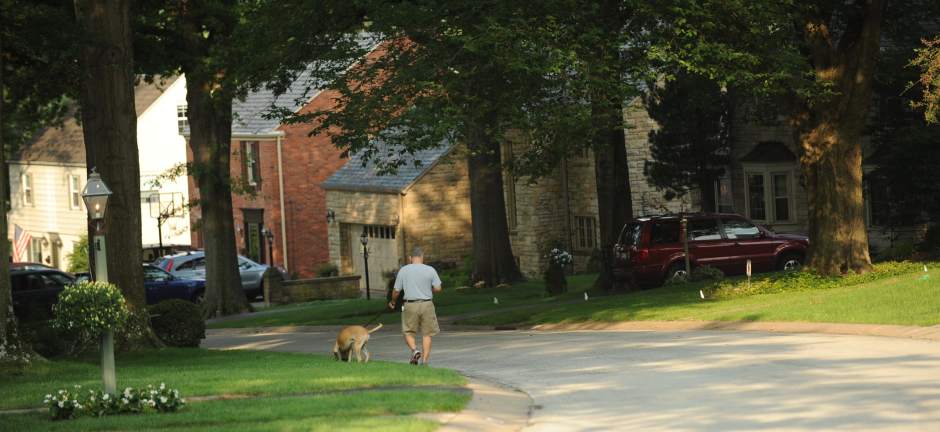 PTRLIVARCHITECTURE8080512