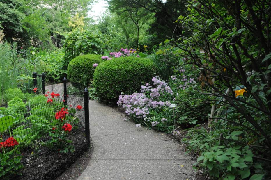 PTRLIVBIBLICAL5070612