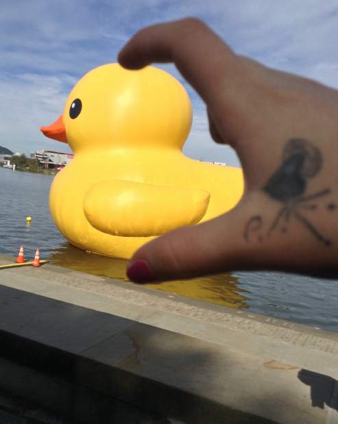 PTRLIVDUCKPIX2101213