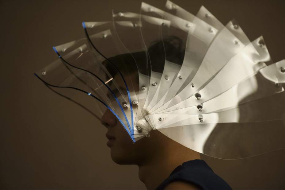 PTRLIVLUNARGALA11020816