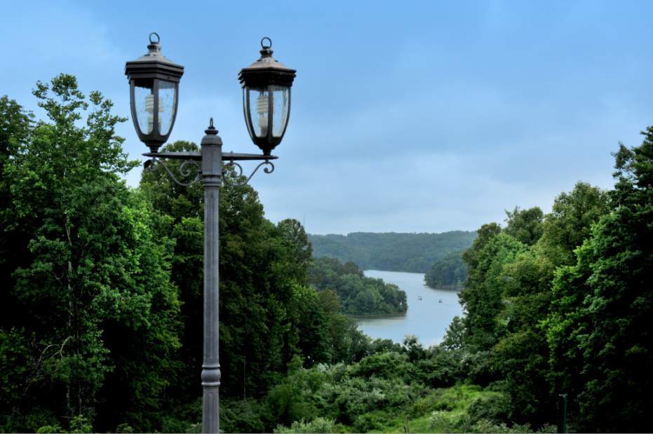 PTRLIVRTCAMBRIDGESALTFORK1091315