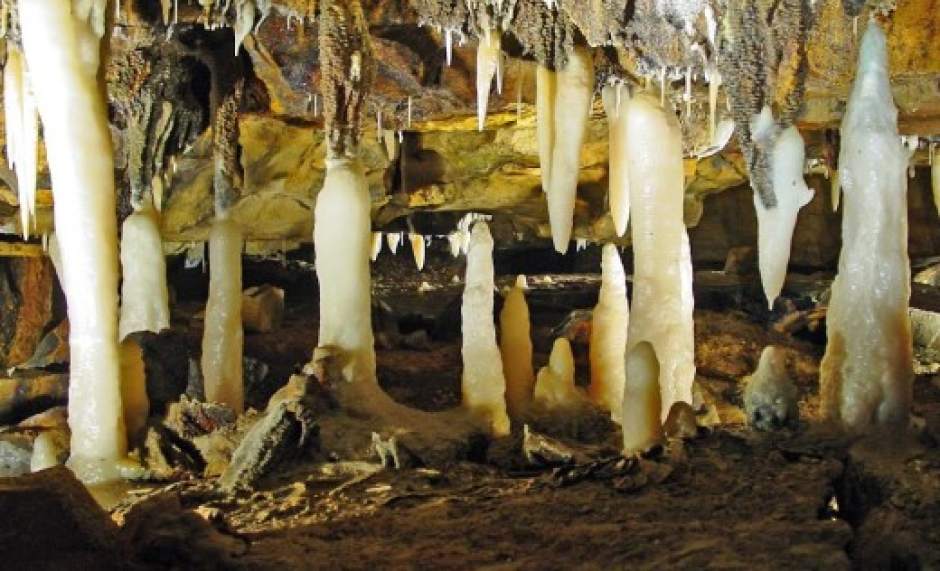 PTRLIVRTZANESFIELDCAVERNS122114